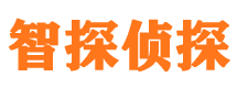 船山侦探公司